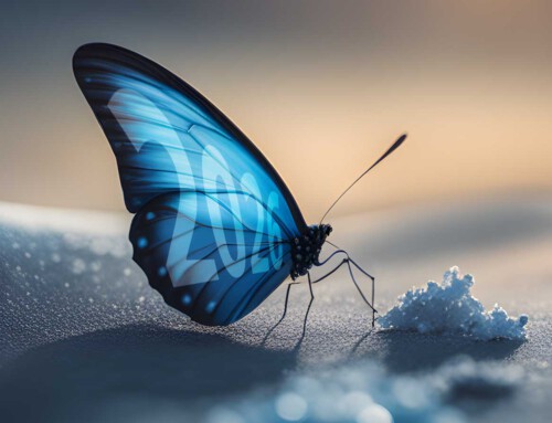 Restrukturierung 2026 im Mittelstand: Warum reine Kostensenkung Unternehmen gefährlich schwächt