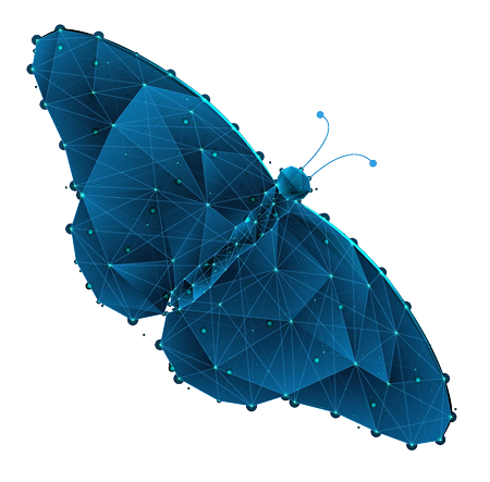 Interim Management Schmetterling