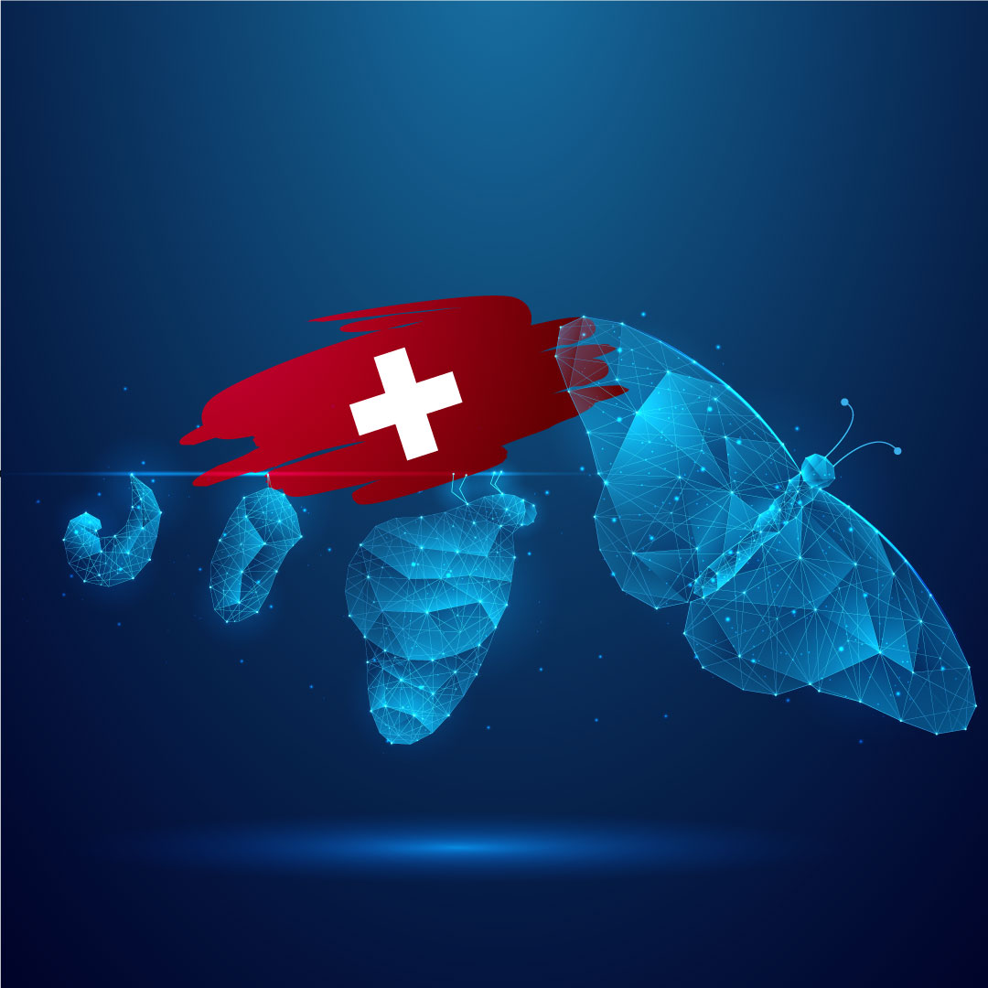 Interim Management Schweiz | Interim CEO, CFO & CRO | butterflymanager
